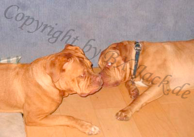 Meine Schwester Tequila und ich