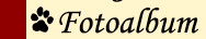 Fotoalbum