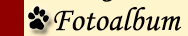 Fotoalbum
