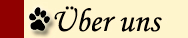 Über uns-Button