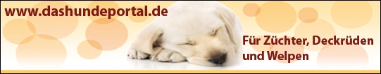 Hundeportal